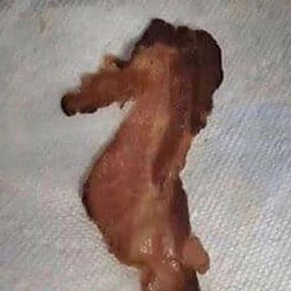 Meet your Posher, Chris - Picture 1 of 1